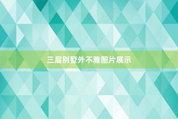 三层别墅外不雅图片展示