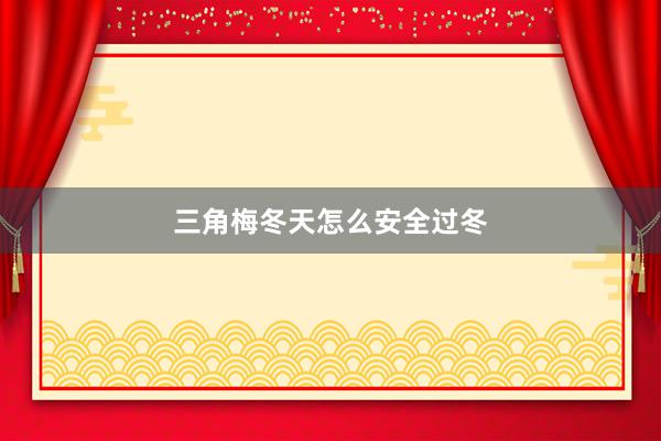 三角梅冬天怎么安全过冬
